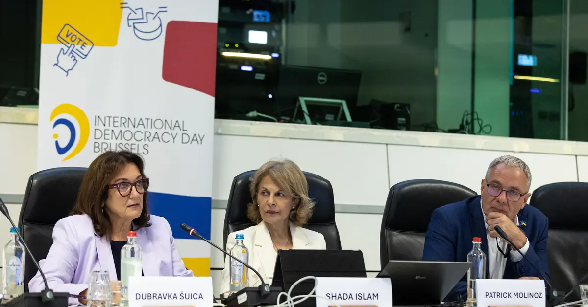 International Democracy Day: 2024 elections reveal need to do more to ...