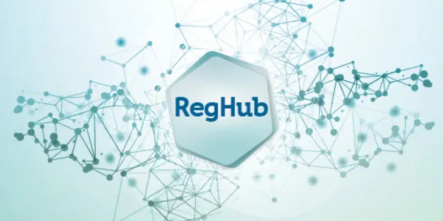 RegHub Brussels Workshop