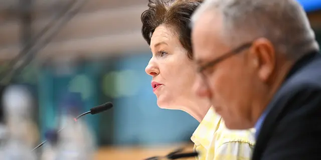 Berichterstatter Gillian Coughlan (Mitte) und Patrick Molinoz