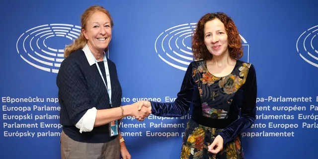 Cities and regions team up with the European Commission to promote jobs, skills and social inclusion
