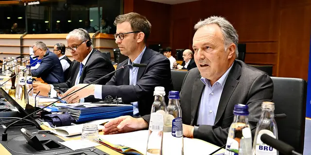 Reform of the EU electricity market: Local action for boosting the energy transition